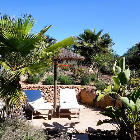 קמפוס Finca Alqueria Fosca מראה חיצוני תמונה
