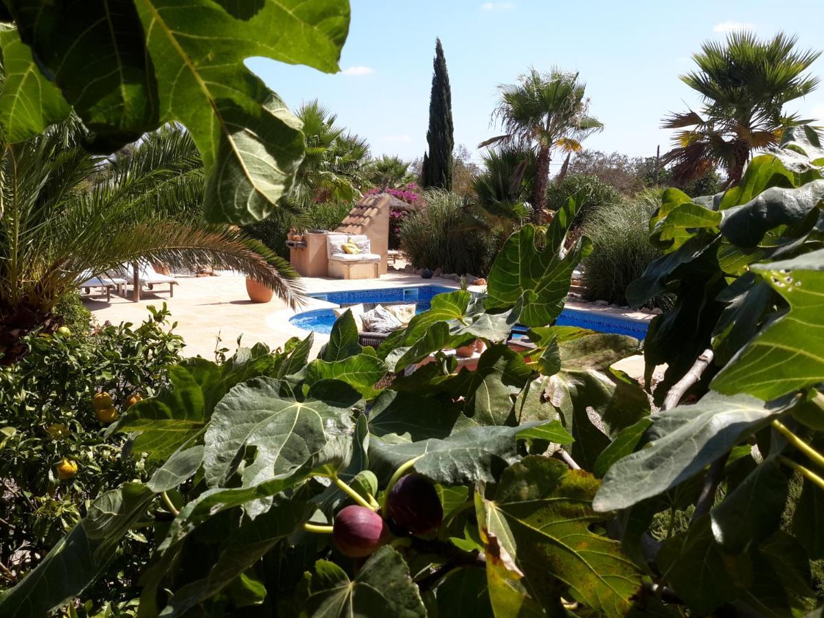 קמפוס Finca Alqueria Fosca מראה חיצוני תמונה