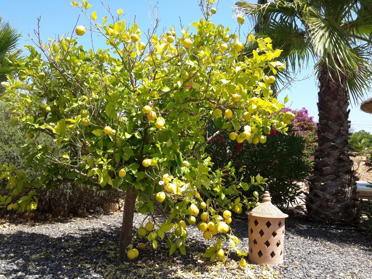קמפוס Finca Alqueria Fosca מראה חיצוני תמונה