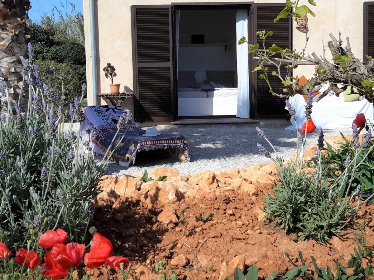קמפוס Finca Alqueria Fosca מראה חיצוני תמונה