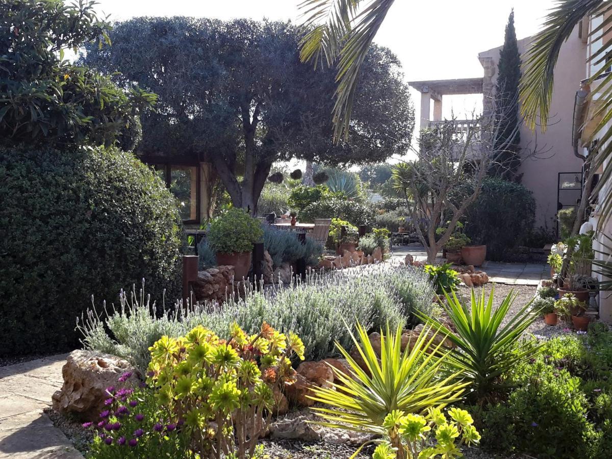 קמפוס Finca Alqueria Fosca מראה חיצוני תמונה