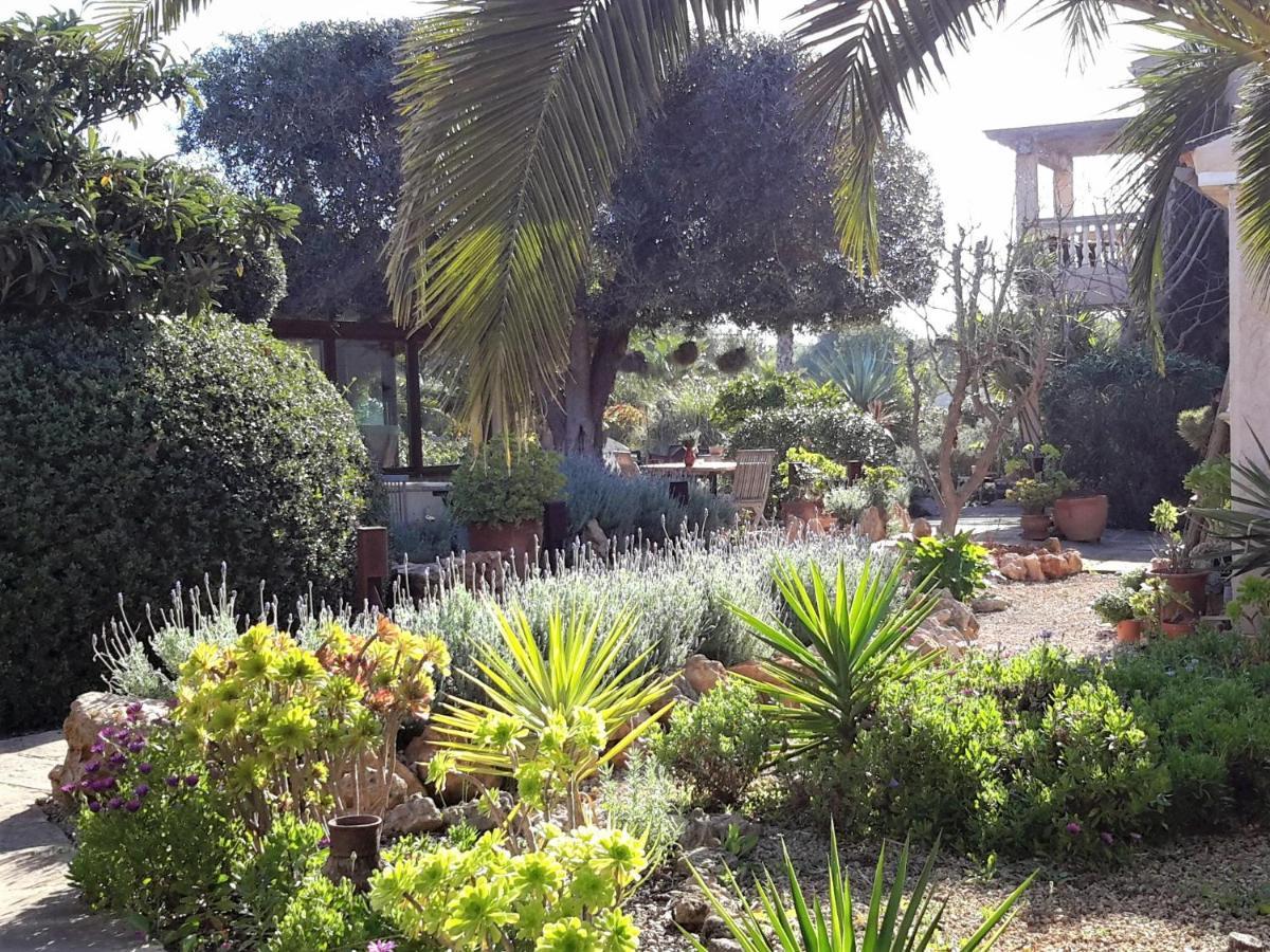 קמפוס Finca Alqueria Fosca מראה חיצוני תמונה