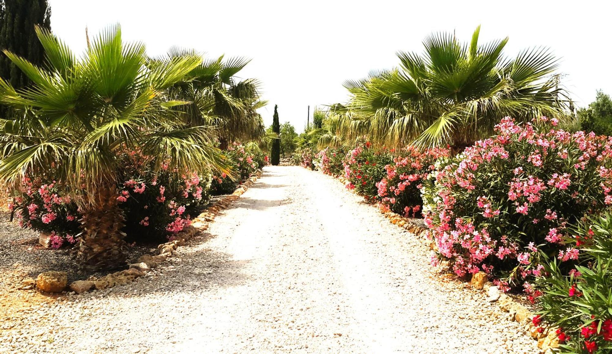 קמפוס Finca Alqueria Fosca מראה חיצוני תמונה