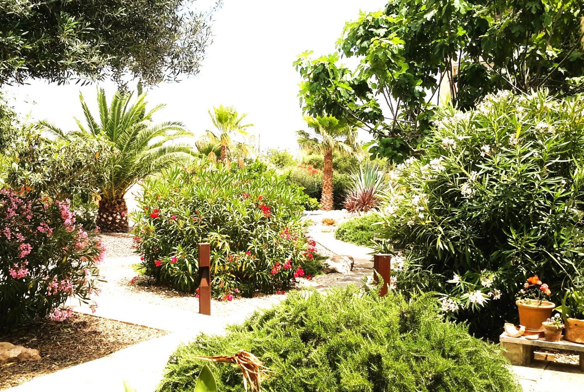 קמפוס Finca Alqueria Fosca מראה חיצוני תמונה
