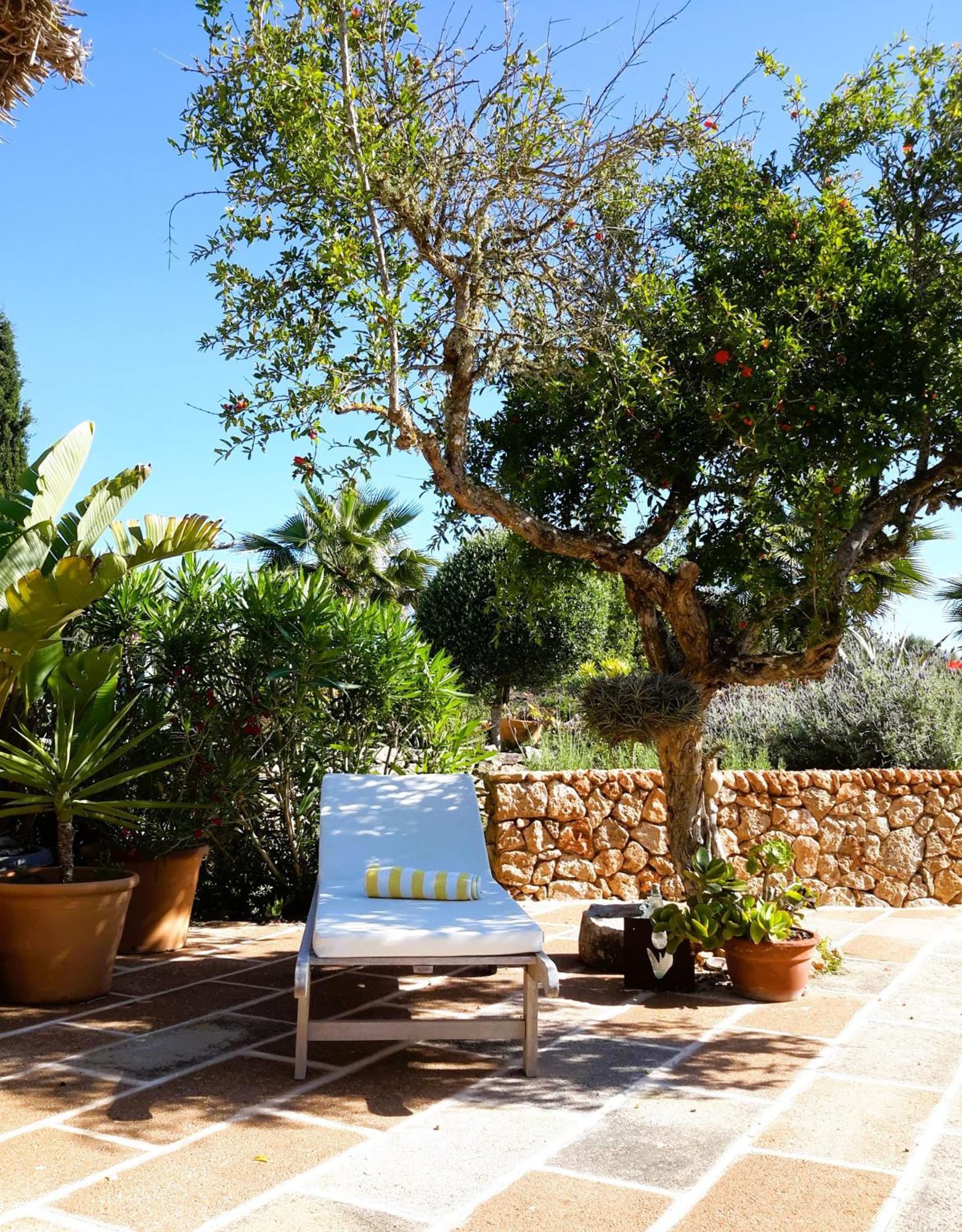 קמפוס Finca Alqueria Fosca מראה חיצוני תמונה