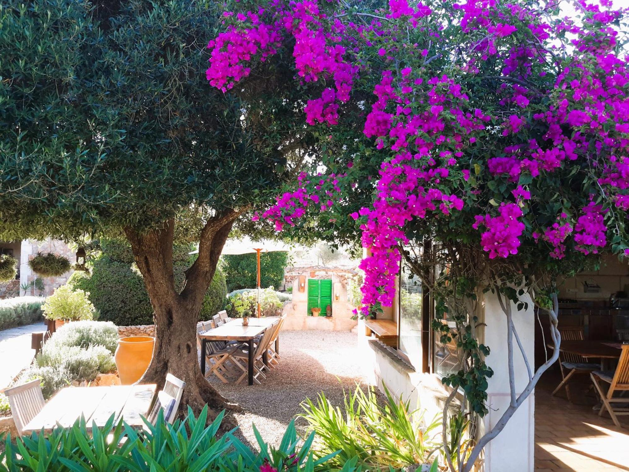 קמפוס Finca Alqueria Fosca מראה חיצוני תמונה